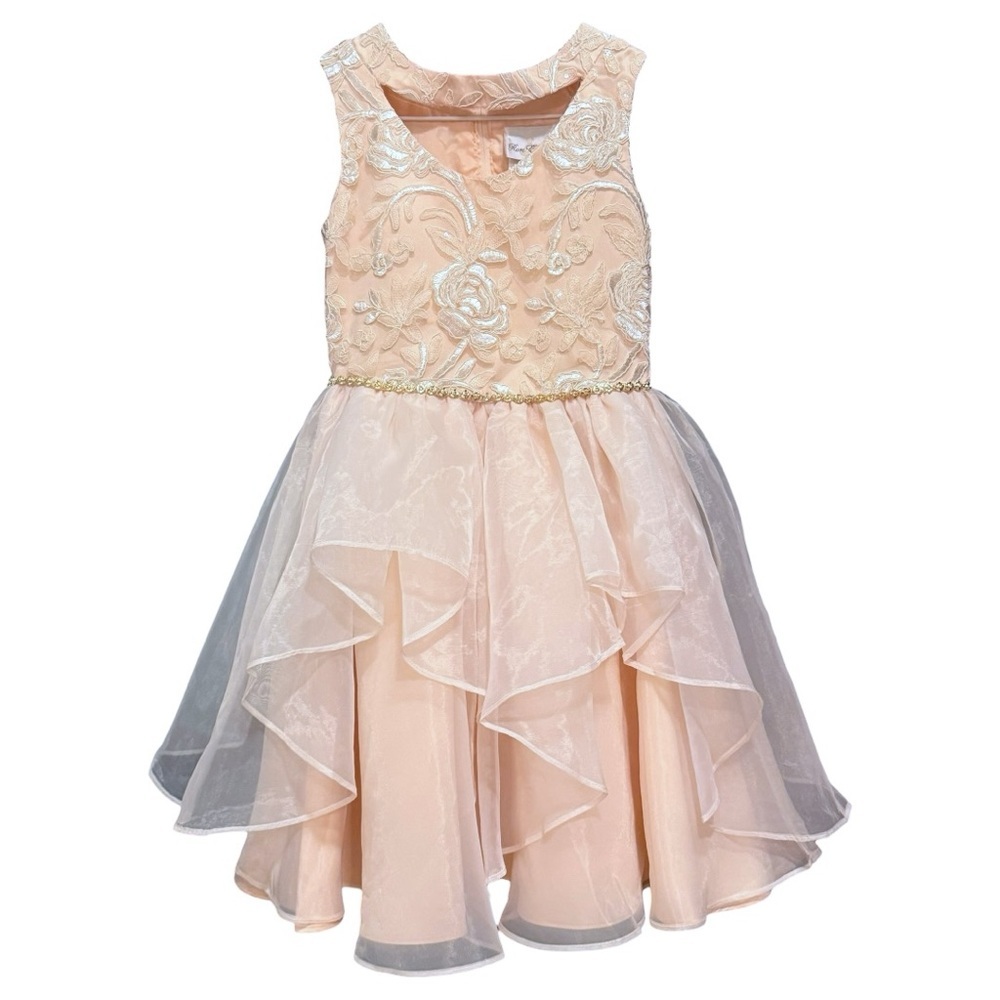 Rare Editions Girls Blush Floral Embroidered Formal Dress Size 10 - Picture 2 of 8